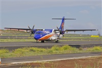 Miguel A. gueda Rguez.  (CANARY ISLANDS SPOTTING). Haz click para ampliar