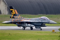 Tams. Click to see full size photo