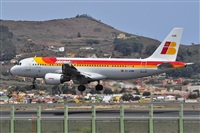 Miguel A. gueda Rguez.  (CANARY ISLANDS SPOTTING). Click to see full size photo