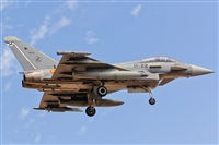 Adolfo Bento - Gran Canaria Spotters. Click to see full size photo