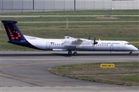 Rubn Gil - Noisy Spotters. Click to see full size photo