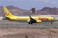 Alfonso Sols - Asociacin Canary Islands Spotting. Click to see full size photo