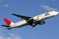 Rubn Gil - Noisy Spotters. Click to see full size photo