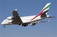 Miguel Alia - Noisy Spotters. Click to see full size photo