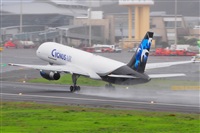 Miguel A. gueda Rguez.  (CANARY ISLANDS SPOTTING). Haz click para ampliar