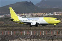 Alfonso Sols - Asociacin Canary Islands Spotting. Click to see full size photo