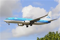 Miguel A. gueda Rguez.  (CANARY ISLANDS SPOTTING). Click to see full size photo