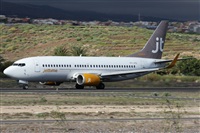 ©Alfonso Solís - Asociación Canary Islands Spotting. Click to see full size photo ©Alfonso Solís - Asociación Canary Islands Spotting. Click to see full size photo