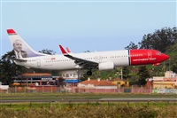 Miguel A. gueda Rguez.  (CANARY ISLANDS SPOTTING). Click to see full size photo