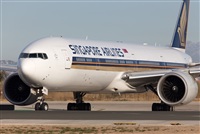 Miguel Alia - Noisy Spotters. Click to see full size photo