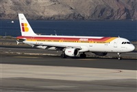 ©Adolfo Bento - Gran Canaria Spotters. Click to see full size photo ©Adolfo Bento - Gran Canaria Spotters. Click to see full size photo