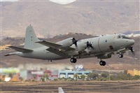 Manuel Acosta Zapata LMDT Spotters. Click to see full size photo