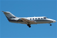 Bartolom Fernndez - Gran Canaria Spotters. Click to see full size photo