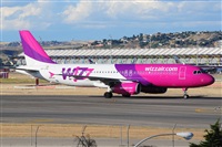 Miguel A. gueda Rguez.  (CANARY ISLANDS SPOTTING). Click to see full size photo