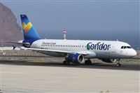 ©Alfonso Solís - Asociación Canary Islands Spotting. Click to see full size photo ©Alfonso Solís - Asociación Canary Islands Spotting. Click to see full size photo