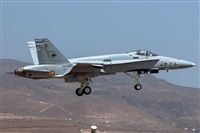 Bartolom Fernndez - Gran Canaria Spotters. Click to see full size photo