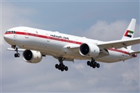 Miguel Alia - Noisy Spotters. Click to see full size photo