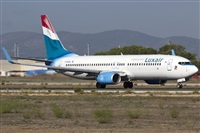 Rubn Gil - Noisy Spotters. Click to see full size photo