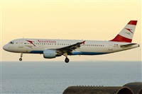 Paco Muoz Arencibia - Gran Canaria Spotters. Click to see full size photo