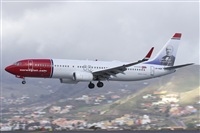 Saimon J Rodriguez   -   Canary Islands Spotting. Click to see full size photo