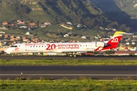 Saimon J Rodriguez   -   Canary Islands Spotting. Click to see full size photo