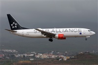 ©Adolfo Bento - Gran Canaria Spotters. Click to see full size photo ©Adolfo Bento - Gran Canaria Spotters. Click to see full size photo