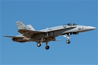 Bartolom Fernndez - Gran Canaria Spotters. Haz click para ampliar