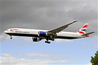 Miguel A. gueda Rguez.  (CANARY ISLANDS SPOTTING). Haz click para ampliar