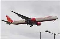 Miguel A. gueda Rguez.  (CANARY ISLANDS SPOTTING). Click to see full size photo