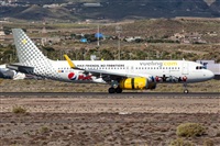 Javier de la Cruz - CANARY ISLANDS SPOTTING. Click to see full size photo