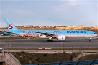 Miguel Martin Cordeiro - Iberian Spotters. Click to see full size photo