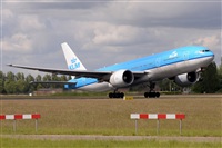 Miguel A. gueda Rguez.  (CANARY ISLANDS SPOTTING). Click to see full size photo