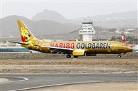 ©Nacho Rodriguez - Canary Islands Spotting. Click to see full size photo ©Nacho Rodriguez - Canary Islands Spotting. Click to see full size photo