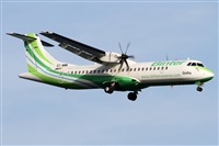 Alfonso Sols - Asociacin Canary Islands Spotting. Haz click para ampliar