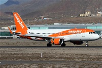 Alfonso Sols - Asociacin Canary Islands Spotting. Haz click para ampliar