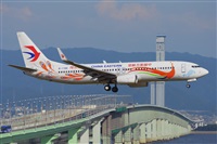 Miguel A. gueda Rguez.  (CANARY ISLANDS SPOTTING). Click to see full size photo