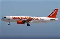 Alfonso Sols - Asociacin Canary Islands Spotting. Click to see full size photo