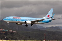 Javier de la Cruz - CANARY ISLANDS SPOTTING. Haz click para ampliar