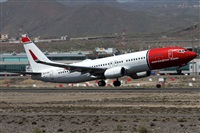 Alfonso Sols - Asociacin Canary Islands Spotting. Click to see full size photo