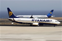Nacho Rodriguez - Canary Islands Spotting. Click to see full size photo
