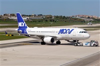 Javier de la Cruz - CANARY ISLANDS SPOTTING. Click to see full size photo