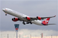 Miguel A. gueda Rguez.  (CANARY ISLANDS SPOTTING). Click to see full size photo
