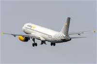 ©Daniel Santos Batista - Canary Islands Spotting. Click to see full size photo ©Daniel Santos Batista - Canary Islands Spotting. Click to see full size photo