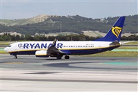 Nacho Rodriguez - Canary Islands Spotting. Click to see full size photo