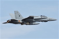 ©J. Victor Vega-Gran Canaria Spotters. Click to see full size photo ©J. Victor Vega-Gran Canaria Spotters. Click to see full size photo