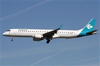 ©Alfonso Solís - Asociación Canary Islands Spotting. Click to see full size photo ©Alfonso Solís - Asociación Canary Islands Spotting. Click to see full size photo