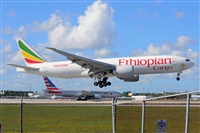 Miguel A. gueda Rguez.  (CANARY ISLANDS SPOTTING). Click to see full size photo