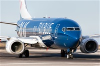 Javier de la Cruz - CANARY ISLANDS SPOTTING. Click to see full size photo