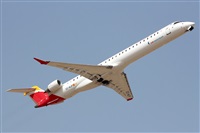 Adrin Alonso Lemes - Lanzarote Spotters. Click to see full size photo