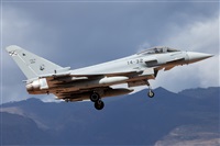 Florencio Martn Melin - Lanzarote Spotters. Haz click para ampliar
